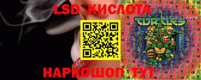 индика Ярославль