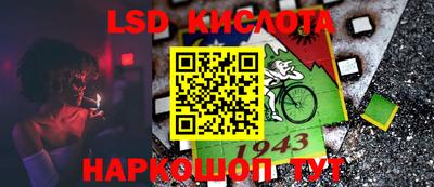 индика Ярославль