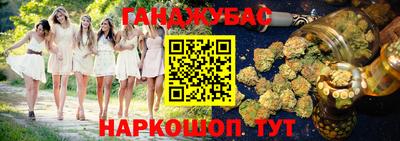 индика Ярославль
