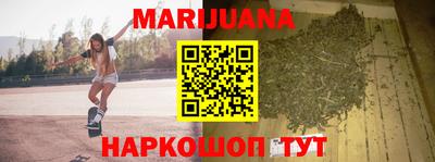 индика Ярославль