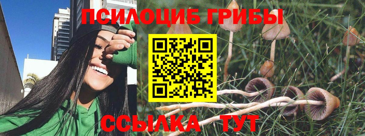 Галлюциногенные грибы Cubensis  Вход с VPN  магазин  наркотиков  Баксан 